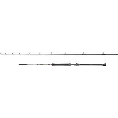Penn Regiment IV Boat Braid 8Ft2In F 20-30Lb 2Sec Conv - Canne da pesca Penn Regiment IV Boat Braid 8Ft2In F 20-30Lb 2Sec Conv - Canne da pesca