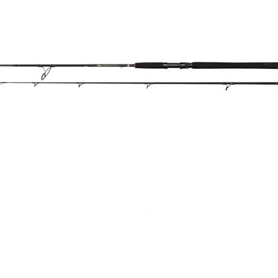 PENN Wrath II - 3.00 m - 60-120 g - Spinning Rod PENN Wrath II - 3.00 m - 60-120 g - Spinning Rod