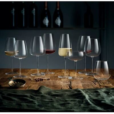 Bormioli Luigi Set 6 Calici Chardonnay Meravigliosi - Bicchieri da Vino Bormioli Luigi Set 6 Calici Chardonnay Meravigliosi - Bicchieri da Vino