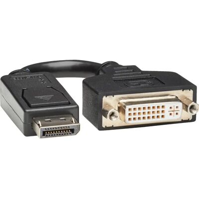 Tripp Lite Schwarzer 15,2 cm DisplayPort zu DVI Adapter Video Converter Tripp Lite Schwarzer 15,2 cm DisplayPort zu DVI Adapter Video Converter