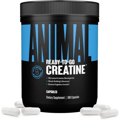 Animal Creatine Caps - Micronized Creatine Monohydrate - 300 Caps Animal Creatine Caps - Micronized Creatine Monohydrate - 300 Caps