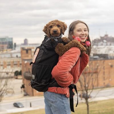 K9 Air 2 Mellomstor hundetransport - Sportstoff Sort K9 Air 2 Mellomstor hundetransport - Sportstoff Sort