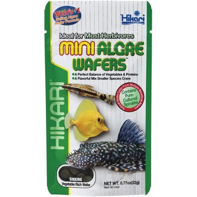 Hikari Mini Algae Wafers - 22g Fish Food Hikari Mini Algae Wafers - 22g Fish Food