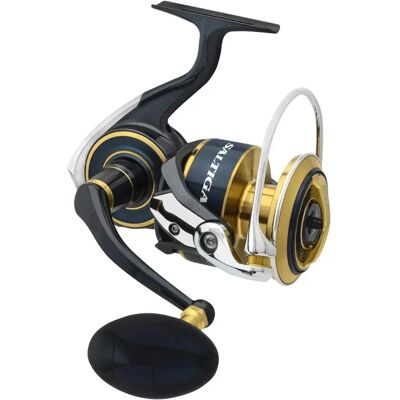 Daiwa Saltiga 2020 Salzwasserspinne - 8000-H Daiwa Saltiga 2020 Salzwasserspinne - 8000-H