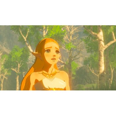 Nintendo The Legend of Zelda: Breath of the Wild Switch - Action Adventure Game Nintendo The Legend of Zelda: Breath of the Wild Switch - Action Adventure Game