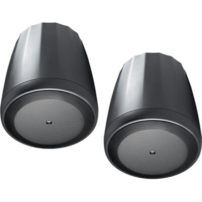JBL Professional C65P/T Kompakt full-range hängande högtalare - Högtalare JBL Professional C65P/T Kompakt full-range hängande högtalare - Högtalare