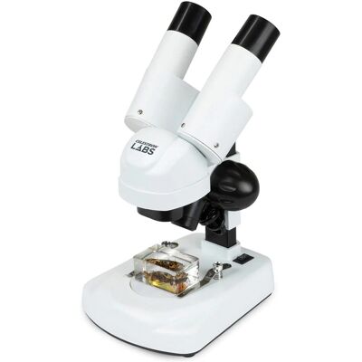 Celestron Labs S20 Angled Stereo Microscope - Stereo Microscope Celestron Labs S20 Angled Stereo Microscope - Stereo Microscope