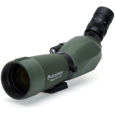 Celestron Regal M2 65ED Spotting Scope - Verde, 48x, Vista inclinata Celestron Regal M2 65ED Spotting Scope - Verde, 48x, Vista inclinata