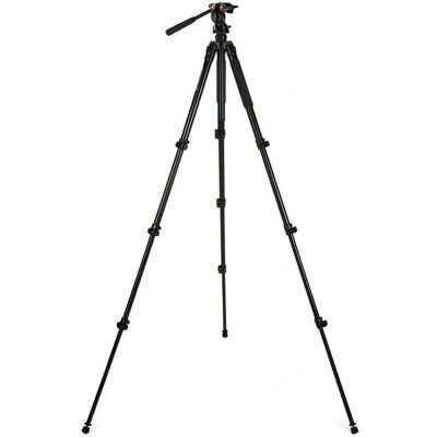 Celestron Regal Premium Celestron Regal Premium