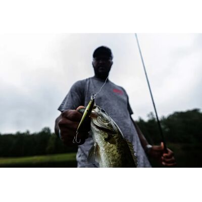 Innesco Strike King HCKVDJ100-682 - Crystal Shad, 3 5/8" Innesco Strike King HCKVDJ100-682 - Crystal Shad, 3 5/8"
