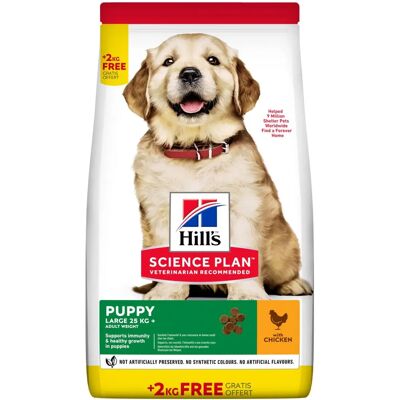 Hill's Science Plan Canine Puppy Large Kyckling Torrfoder - 14,5 kg Hill's Science Plan Canine Puppy Large Kyckling Torrfoder - 14,5 kg