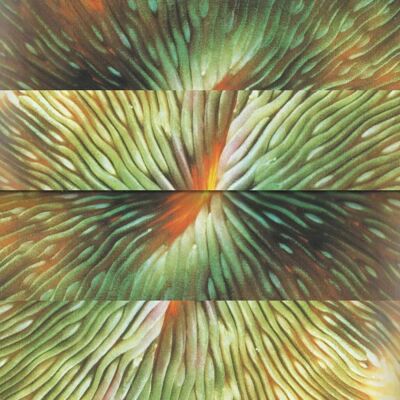 Active Surplus Mirroring - Vinyl LP Active Surplus Mirroring - Vinyl LP