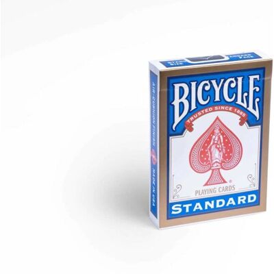 Bicycle Rider Back Standard Bicycle Rider Back Standard