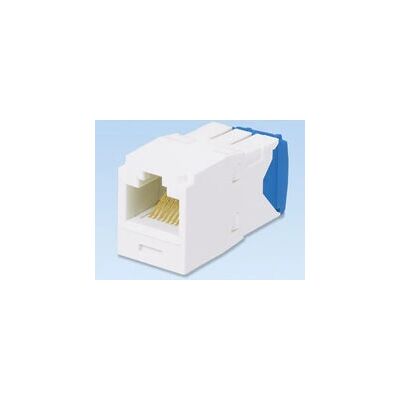 Panduit Panduit CJ6X88TGIW - RJ45 Cat6a Netzwerkmodul Panduit Panduit CJ6X88TGIW - RJ45 Cat6a Netzwerkmodul