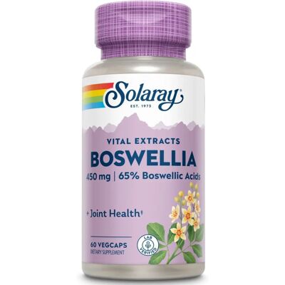 Solaray Boswellia - 450 mg - Unterstützt die Gelenkgesundheit Solaray Boswellia - 450 mg - Unterstützt die Gelenkgesundheit