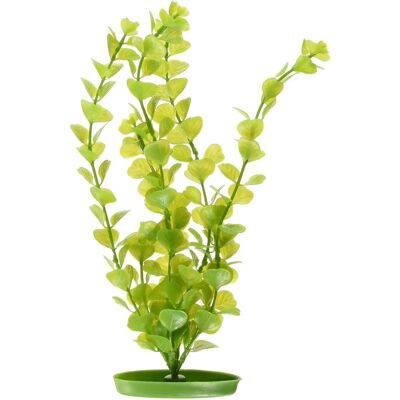 Marina Aquascaper Moneywort Plant - Aquariumplant Marina Aquascaper Moneywort Plant - Aquariumplant