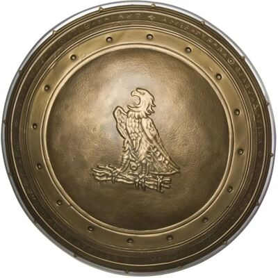 Rubies Wonder Woman Shield Adult Costume Accessory - 60cm Rubies Wonder Woman Shield Adult Costume Accessory - 60cm