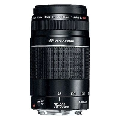 Objectif téléobjectif Canon EF 75-300mm f/4.0-5.6 III USM - Matériel photo Objectif téléobjectif Canon EF 75-300mm f/4.0-5.6 III USM - Matériel photo