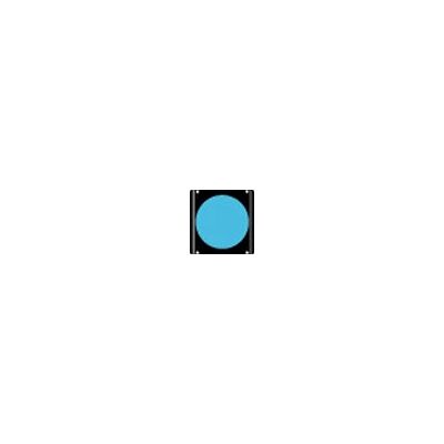 Cokin A162 67 mm Filter - Polarisationsfilter - Blau Cokin A162 67 mm Filter - Polarisationsfilter - Blau