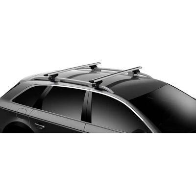 Thule Evo Raised Rail Dakkoffer Accessoire Thule Evo Raised Rail Dakkoffer Accessoire