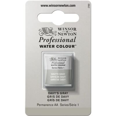 Winsor & Newton Aquarelle Professionnelle Moyenne Plaque Davy's Grey Série 1 Winsor & Newton Aquarelle Professionnelle Moyenne Plaque Davy's Grey Série 1