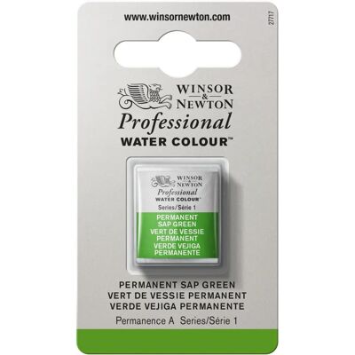Winsor & Newton Peinture Aquarelle en Demi-Pan - Vert Sap Permanent - Série 1 - Peinture à l'eau Winsor & Newton Peinture Aquarelle en Demi-Pan - Vert Sap Permanent - Série 1 - Peinture à l'eau