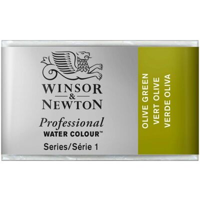 Winsor & Newton Modello 0100447 - Colore acquerello verde - Colore acquerello Winsor & Newton Modello 0100447 - Colore acquerello verde - Colore acquerello