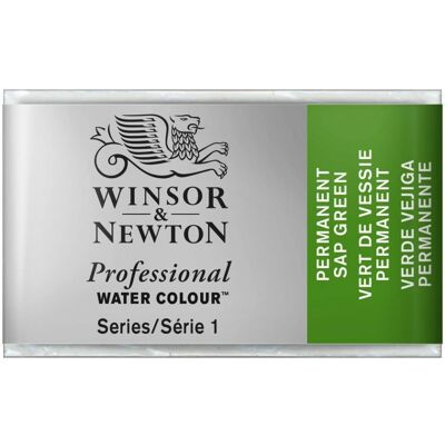 Winsor & Newton Aquarellfarbe Grün Palette - Professionelle Wasserfarben Winsor & Newton Aquarellfarbe Grün Palette - Professionelle Wasserfarben