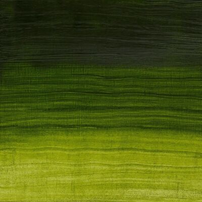 Winsor & Newton Artisan Wasserlösliche Öl-Farbe - Permanent Sap Green - 37ml Winsor & Newton Artisan Wasserlösliche Öl-Farbe - Permanent Sap Green - 37ml