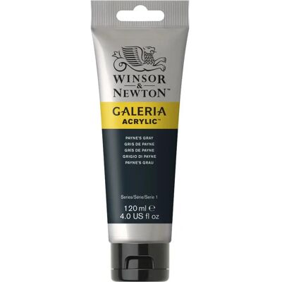 Winsor & Newton Galeria Acrylfarbe - Payne's Grau - Hoch pigmentiert, vielseitig - 120 ml Winsor & Newton Galeria Acrylfarbe - Payne's Grau - Hoch pigmentiert, vielseitig - 120 ml