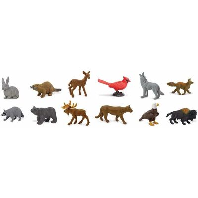 Safari Ltd Nature Toob - Ensemble d'Animaux Multicolores - Publicité Safari Ltd Nature Toob - Ensemble d'Animaux Multicolores - Publicité
