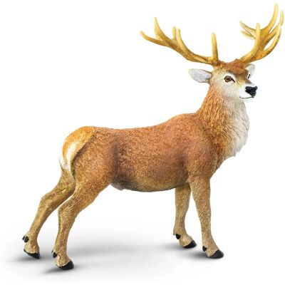 Safari Ltd Roter Hirschbock - Wild Safari Wildlife Sammlung Safari Ltd Roter Hirschbock - Wild Safari Wildlife Sammlung