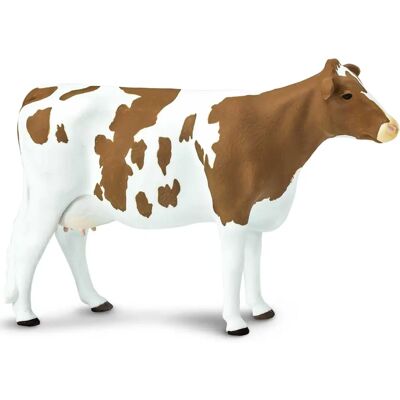 Safari Ltd. Ayrshire Kuh Figur - Realistische 13,5" Modell - Pädagogisches Spielzeug Safari Ltd. Ayrshire Kuh Figur - Realistische 13,5" Modell - Pädagogisches Spielzeug