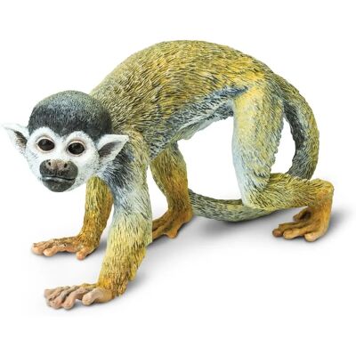 Safari Ltd Małpa Wiewiórka - Figurka Safari Ltd Małpa Wiewiórka - Figurka