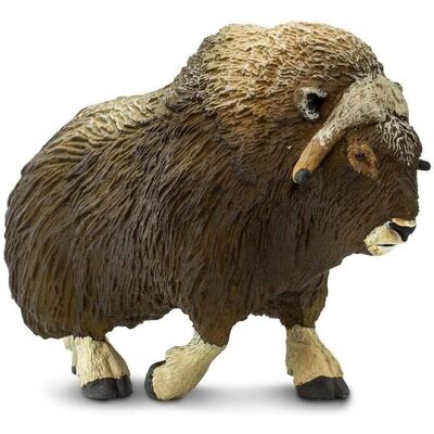 Safari Ltd Muskox Figur - Detaillierte 3,5" Kunststoffmodell - Lehrspielzeug Safari Ltd Muskox Figur - Detaillierte 3,5" Kunststoffmodell - Lehrspielzeug