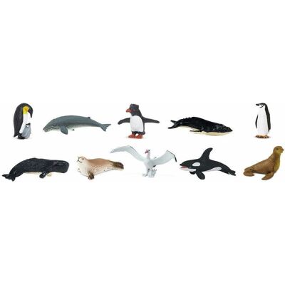 Safari Ltd Antarktis Toob - Lehrreiche Tierfiguren Safari Ltd Antarktis Toob - Lehrreiche Tierfiguren