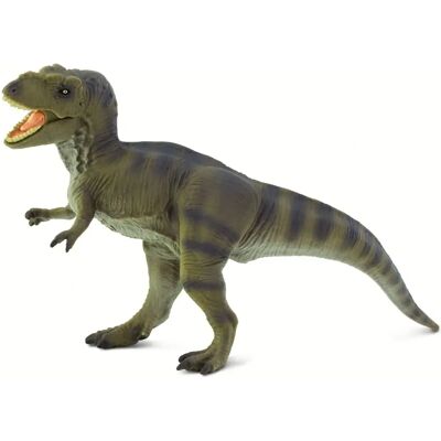 Safari Ltd Tyrannosaurus Rex Dino Figur - Dinosauriesoort Safari Ltd Tyrannosaurus Rex Dino Figur - Dinosauriesoort