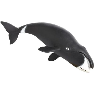 Miniature de Baleine de l'Arctique - Collection Sea Life - Publicité Miniature de Baleine de l'Arctique - Collection Sea Life - Publicité