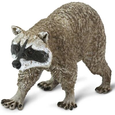Safari Ltd Raccoon Figuur - Noord-Amerikaanse Wild Life - 10cm Safari Ltd Raccoon Figuur - Noord-Amerikaanse Wild Life - 10cm