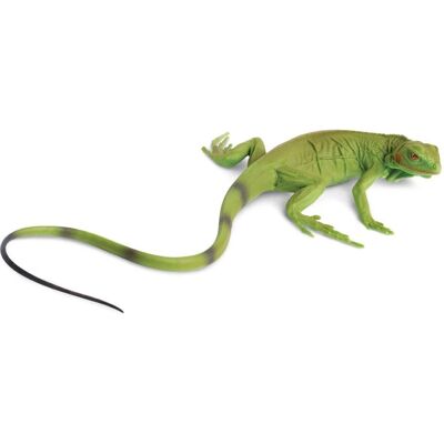 Miniature de Bébé Iguane Safari Ltd - Reptile - Publicité Miniature de Bébé Iguane Safari Ltd - Reptile - Publicité