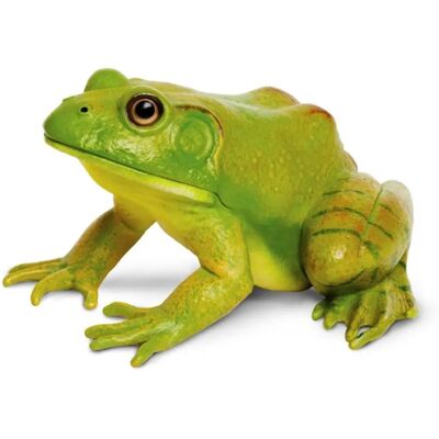 Safari Ltd Crapaud Américain - Figurine Safari Ltd Crapaud Américain - Figurine