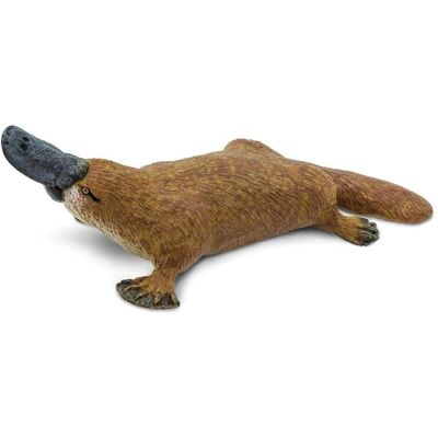 Safari Ltd. Ornithorhynchus anatinus - Figurine en plastique marron - Jouet éducatif Safari Ltd. Ornithorhynchus anatinus - Figurine en plastique marron - Jouet éducatif