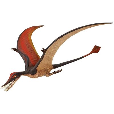 Safari Ltd Rhamphorhynchus - Fossiel replica Safari Ltd Rhamphorhynchus - Fossiel replica