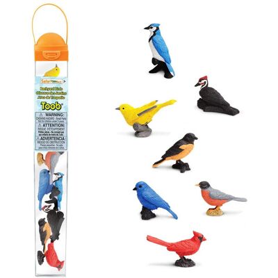Safari Ltd Backyard Birds Toob - Figurines d'oiseaux - Publicité Safari Ltd Backyard Birds Toob - Figurines d'oiseaux - Publicité