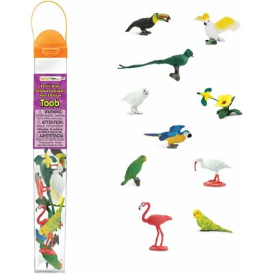 Safari Ltd Exotic Birds TOOB - Ensemble de Jouets Éducatifs - 11 Oiseaux Peints à la Main - Publicité Safari Ltd Exotic Birds TOOB - Ensemble de Jouets Éducatifs - 11 Oiseaux Peints à la Main - Publicité