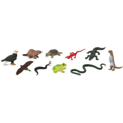 Figure dell’Ecosistema Fluviale - Gioco Educativo Safari Ltd Figure dell’Ecosistema Fluviale - Gioco Educativo Safari Ltd