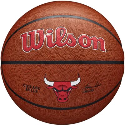 Pallacanestro Wilson NBA Team Alliance Pallacanestro Wilson NBA Team Alliance