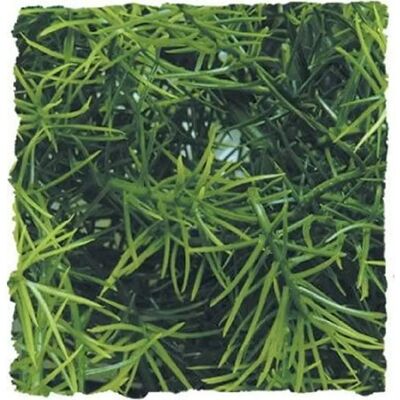 Pianta Artificiale Casuarina di Zoo Med - Decorazione per Rettili Pianta Artificiale Casuarina di Zoo Med - Decorazione per Rettili