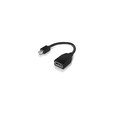 Lenovo Mini-DisplayPort to DisplayPort Adapter - Musta Lenovo Mini-DisplayPort to DisplayPort Adapter - Musta