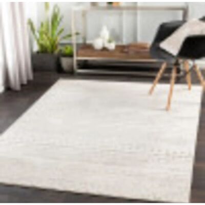 Tapis bohème moderne beige SURYA HAMA - Tapis - Publicité Tapis bohème moderne beige SURYA HAMA - Tapis - Publicité